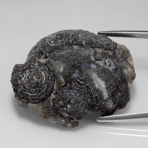 65,22 ctw natürlicher mehrfarbiger Achatgeode, Fantasieschliff, Lichtundurchlässig