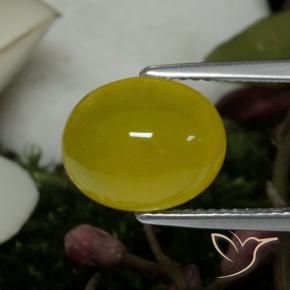 9,17 ctw natürlicher Mittelgelb Achat, Oval, Lichtdurchlässig