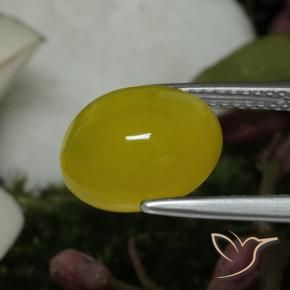 9,17 ctw natürlicher Mittelgelb Achat, Oval, Lichtdurchlässig