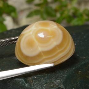 9,17 ctw natürlicher Mehrfarbig Achat, Oval Schliff, Lichtundurchlässig