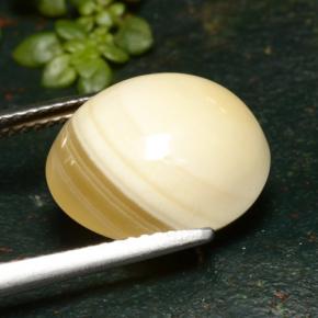 9,46 ctw natürlicher mehrfarbiger Achat, Oval Schliff, Lichtdurchlässig