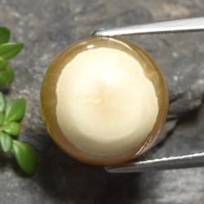 15,16 ctw natürlicher mehrfarbiger Achat, Oval Schliff, Lichtdurchlässig