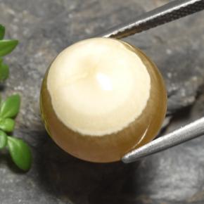 15,16 ctw natürlicher mehrfarbiger Achat, Oval Schliff, Lichtdurchlässig