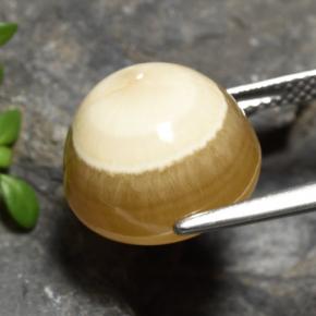 15,16 ctw natürlicher mehrfarbiger Achat, Oval Schliff, Lichtdurchlässig