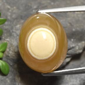 18,18 ctw natürlicher mehrfarbiger Achat, Oval Schliff, Lichtdurchlässig