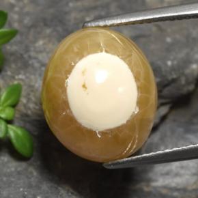 9,17 ctw natürlicher Mehrfarbig Achat, Oval Schliff, Lichtdurchlässig