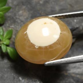 9,17 ctw natürlicher Mehrfarbig Achat, Oval Schliff, Lichtdurchlässig