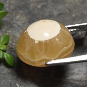 9,17 ctw natürlicher Mehrfarbig Achat, Oval Schliff, Lichtdurchlässig