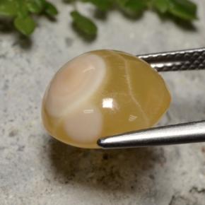 7,59 ctw natürlicher mehrfarbiger Achat, Oval Schliff, Lichtdurchlässig
