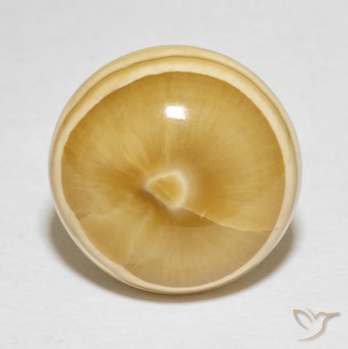 19.82ct Natürlicher Mehrfarbig Achat, Runden, Lichtundurchlässig, Photo A
