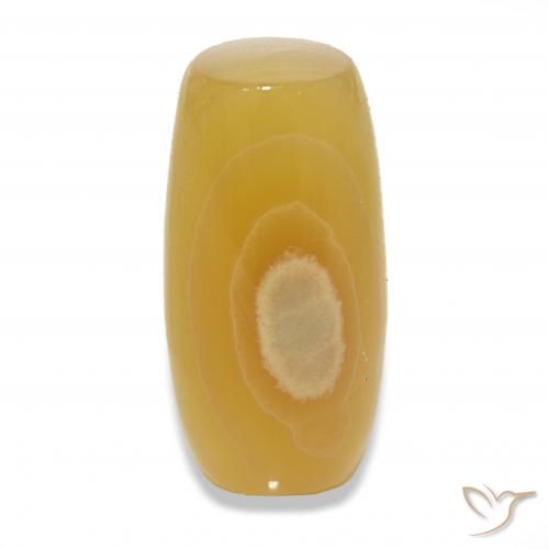 24.20ct Mehrfarbig Achat, Fantasie, Lichtdurchlässig