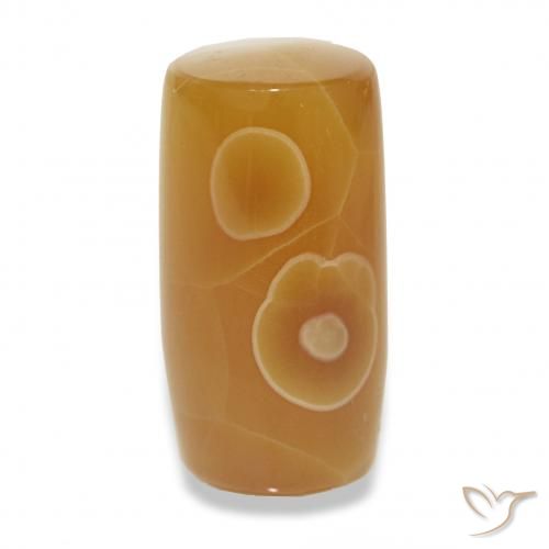 13.53ct Mehrfarbig Achat, Fantasie, Lichtdurchlässig