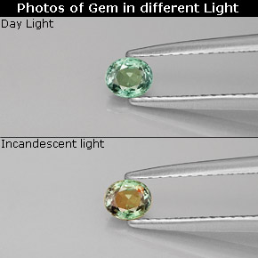 9,17 ctw natürlicher grün/rot Alexandrit, Oval Schliff, VVS-VS