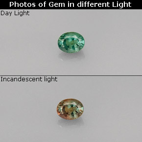 9,17 ctw natürlicher grün/rot Alexandrit, Oval Schliff, VVS-VS