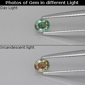 9,17 ctw natürlicher grün/rot Alexandrit, Oval Schliff, VVS-VS