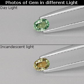 9,17 ctw natürlicher grün/rot Alexandrit, Oval Schliff, VS