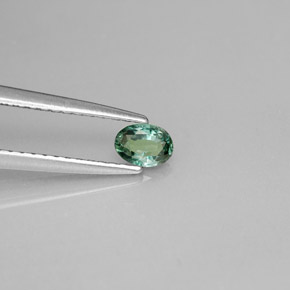 0,23 ctw natürlicher mehrfarbiger Alexandrit, Oval Schliff, VS