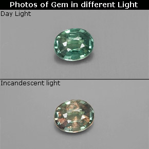 9,17 ctw natürlicher grün/rot Alexandrit, Oval Schliff, VS