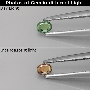 9,17 ctw natürlicher Grün/Rot Alexandrit, Oval Schliff, VS