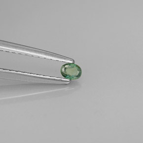 0,08 ctw natürlicher mehrfarbiger Alexandrit, Oval Schliff, VS