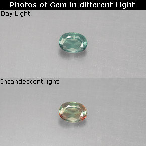 0,13 ctw natürlicher mehrfarbiger Alexandrit, Oval Schliff, VS