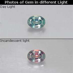 9,17 ctw natürlicher grün/rot Alexandrit, Oval Schliff, VS