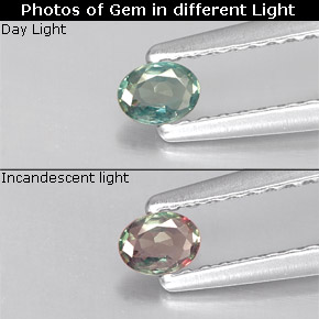 9,17 ctw natürlicher grün/rot Alexandrit, Oval Schliff, VS