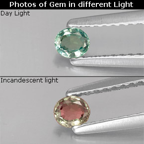 9,17 ctw natürlicher grün/rot Alexandrit, Oval Schliff, VS