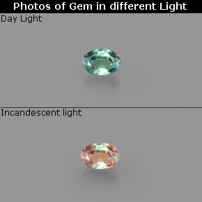 9,17 ctw natürlicher grün/rot Alexandrit, Oval Schliff, VS