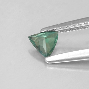 0,19 ctw natürlicher mehrfarbiger Alexandrit, Trillion, VS