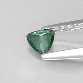0,24 ctw natürlicher mehrfarbiger Alexandrit, Trillion, VS