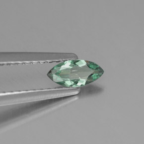 0,25 ctw natürlicher mehrfarbiger Alexandrit, Marquise, VS