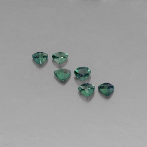  ct natürliche mehrfarbiger Alexandrit-Edelsteine, Trillion, VS