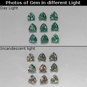  ct natürliche mehrfarbiger Alexandrit-Edelsteine, Trillion, VS