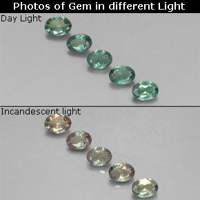  ct natürliche mehrfarbiger Alexandrit-Edelsteine, Oval Schliff, VS