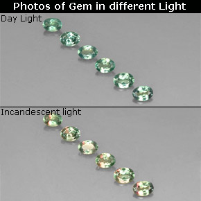  ct natürliche grün/rot Alexandrit-Edelsteine, Oval Schliff, VS