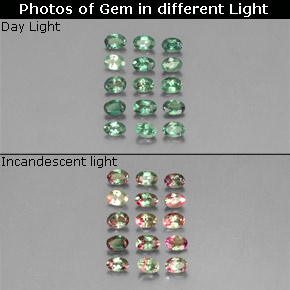  ct natürliche mehrfarbiger Alexandrit-Edelsteine, Oval Schliff, VS
