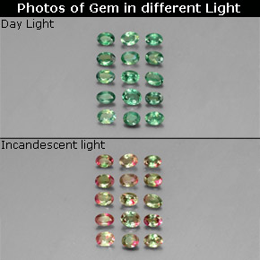  ct natürliche mehrfarbiger Alexandrit-Edelsteine, Oval Schliff, VS