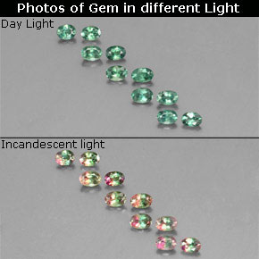  ct natürliche Grün/Rot Alexandrit-Edelsteine, Oval Schliff, VS