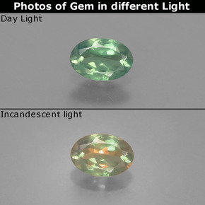 9,17 ctw natürlicher grün/rot Alexandrit, Oval Schliff, VS