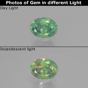 9,17 ctw natürlicher grün/rot Alexandrit, Oval Schliff, VS