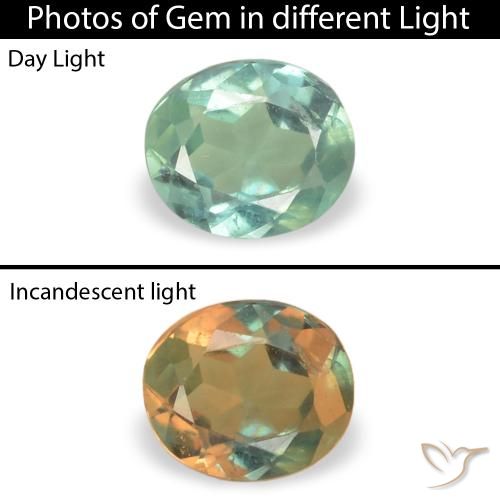 0.15ct Natürlicher Helles Meeresgrün Alexandrit, Oval, VS