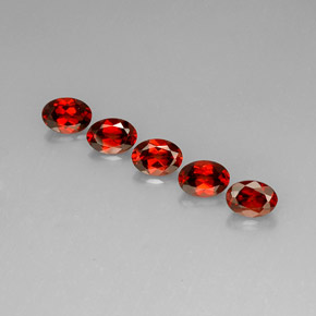  ct natürliche Rot Almandin-Granat-Edelsteine, Oval Schliff, VS