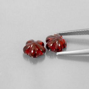 3,57 ct natürliche roter Almandin-Granat-Edelsteine, Transparent, Transparent / Lichtdurchlässig