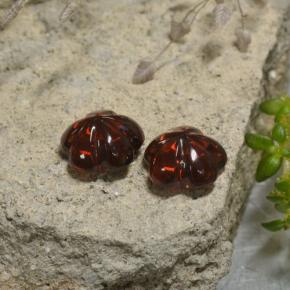  ct natürliche roter Almandin-Granat-Edelsteine, Blumenschliff, Lichtdurchlässig
