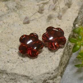 3,47 ct natürliche roter Almandin-Granat-Edelsteine, Blumenschliff, Lichtdurchlässig