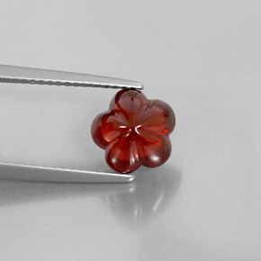 3,15 ctw natürlicher roter Almandin-Granat, Transparent, Transparent / Lichtdurchlässig