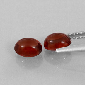  ct natürliche roter Almandin-Granat-Edelsteine, Transparent, Transparent / Lichtdurchlässig