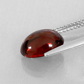 3,38 ctw natürlicher roter Almandin-Granat, Transparent, Transparent / Lichtdurchlässig