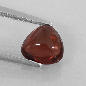 1,47 ctw natürlicher roter Almandin-Granat, Transparent, Transparent / Lichtdurchlässig